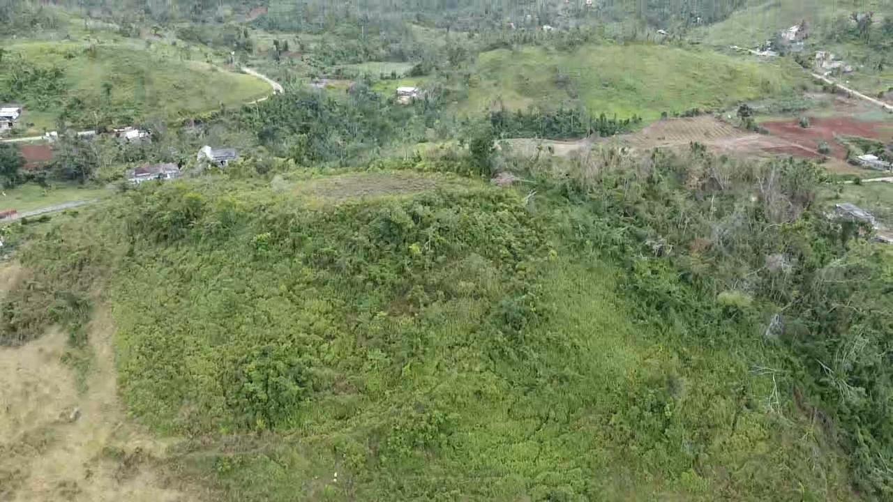 Lillyfield-Estate-Development-Land-for-Sale-in-St.-Ann-Jamaica-Sea-View-ResidentialFarm-Zoning Second image of 10 Lillyfield & Elgin Hall, in Bamboo, St. Ann, Jamaica - property is For Sale