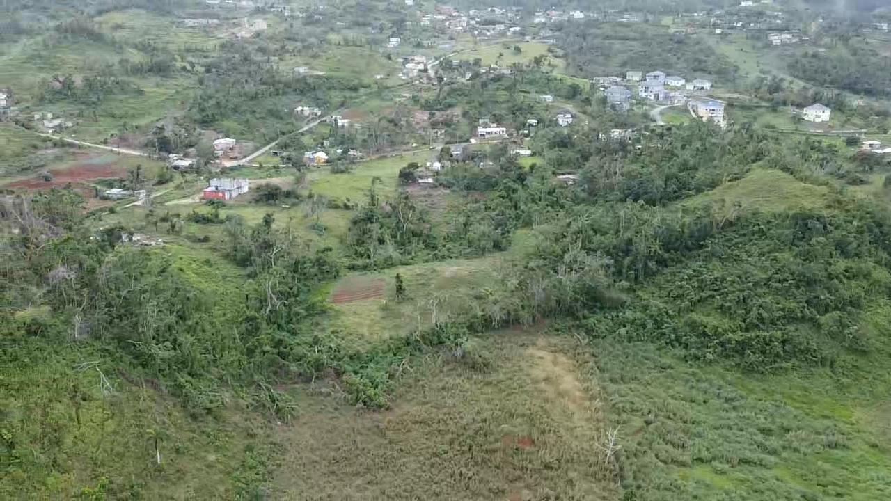 Lillyfield-Estate-Development-Land-for-Sale-in-St.-Ann-Jamaica-Sea-View-ResidentialFarm-Zoning Third image of 10 Lillyfield & Elgin Hall, in Bamboo, St. Ann, Jamaica - property is For Sale