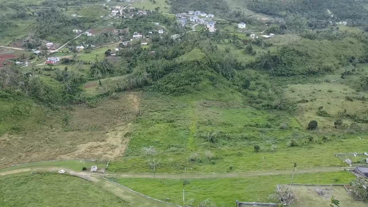 Lillyfield-Estate-Development-Land-for-Sale-in-St.-Ann-Jamaica-Sea-View-ResidentialFarm-Zoning Fourth image of 10 Lillyfield & Elgin Hall, in Bamboo, St. Ann, Jamaica - property is For Sale