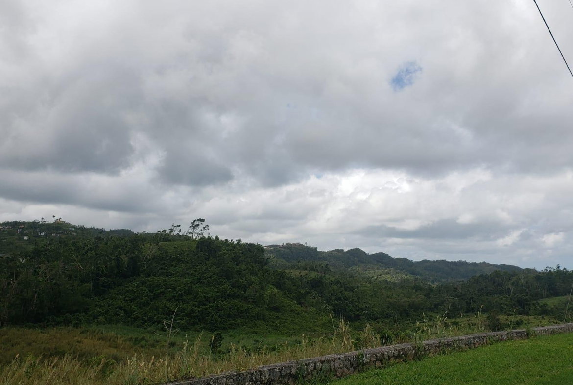 Fifth image of 10 Lillyfield & Elgin Hall, in Bamboo, St. Ann, Jamaica - property is For Sale