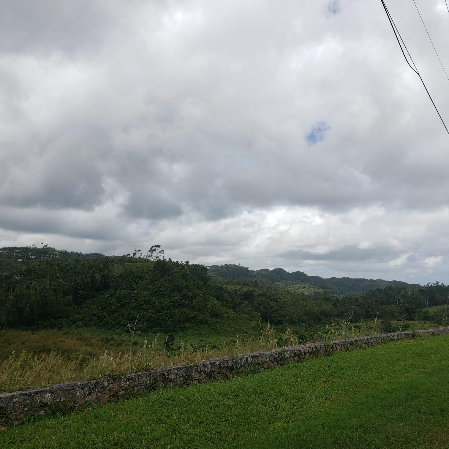 Lillyfield-Estate-Development-Land-for-Sale-in-St.-Ann-Jamaica-Sea-View-ResidentialFarm-Zoning Fifth image of 10 Lillyfield & Elgin Hall, in Bamboo, St. Ann, Jamaica - property is For Sale