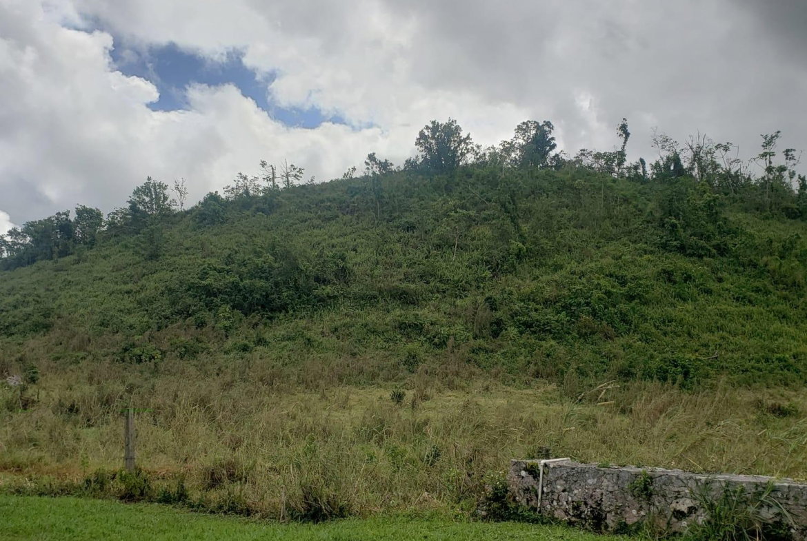 Sixth image of 10 Lillyfield & Elgin Hall, in Bamboo, St. Ann, Jamaica - property is For Sale