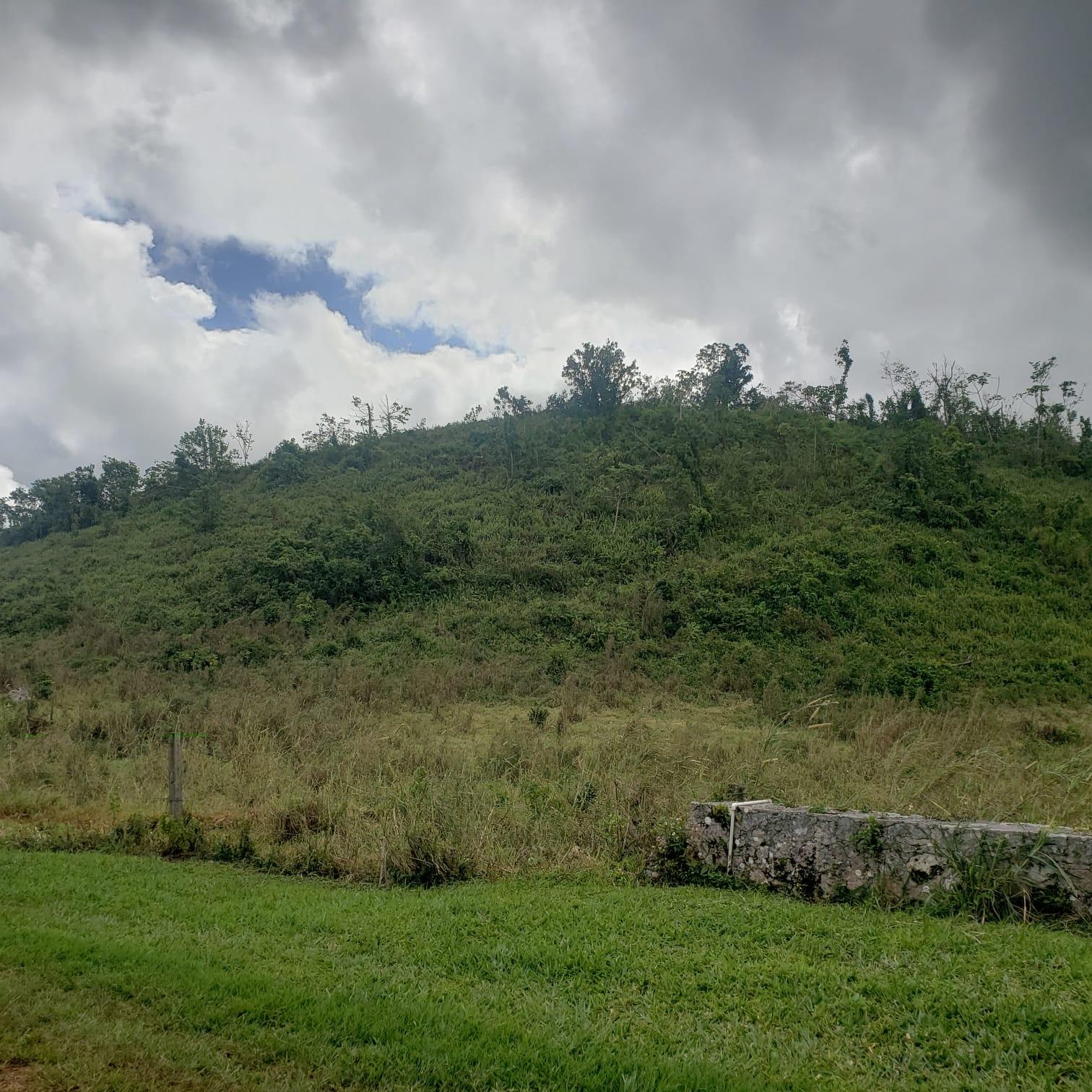 Lillyfield-Estate-Development-Land-for-Sale-in-St.-Ann-Jamaica-Sea-View-ResidentialFarm-Zoning Sixth image of 10 Lillyfield & Elgin Hall, in Bamboo, St. Ann, Jamaica - property is For Sale