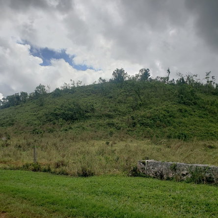 Sixth image of 10 Lillyfield & Elgin Hall, in Bamboo, St. Ann, Jamaica - property is For Sale