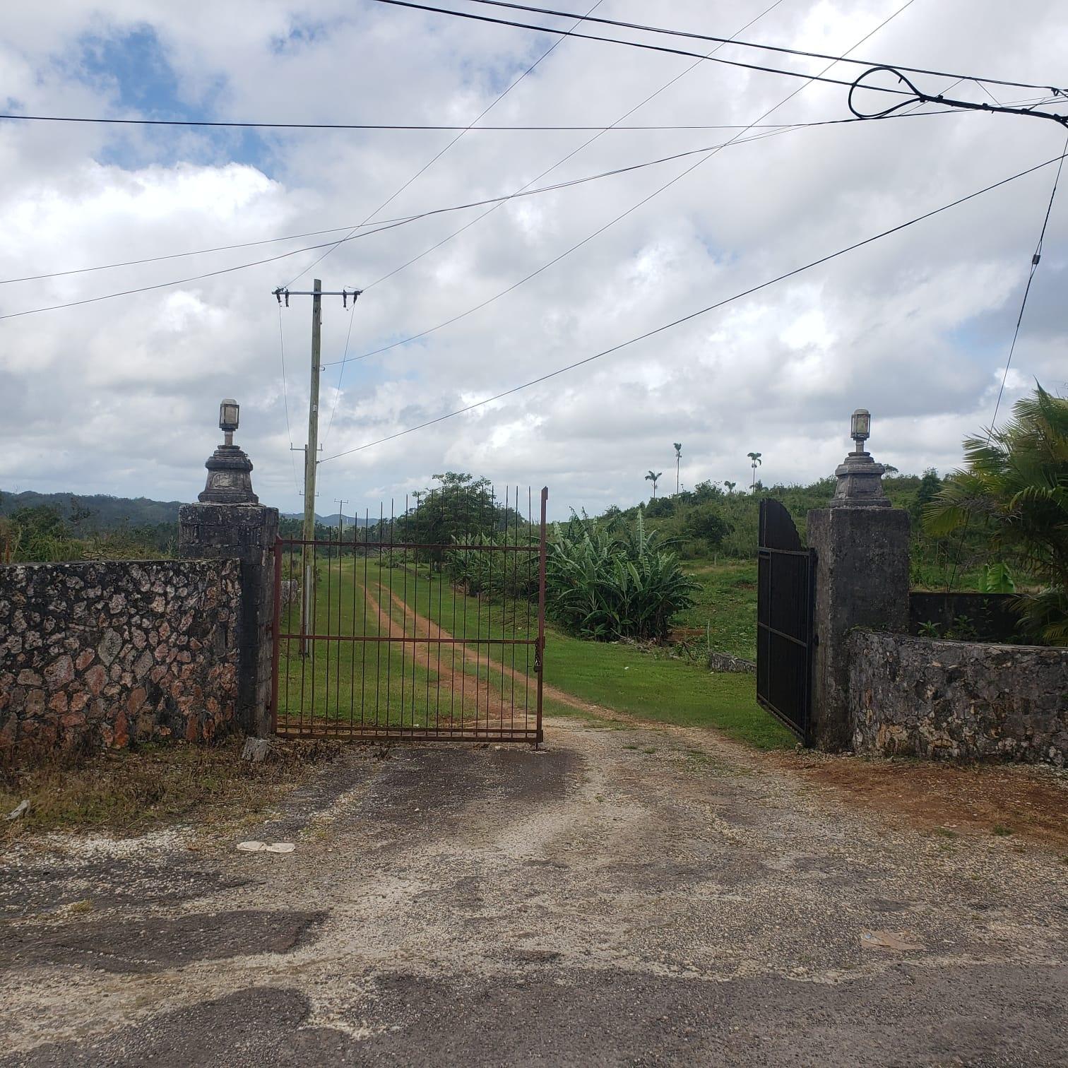 Lillyfield-Estate-Development-Land-for-Sale-in-St.-Ann-Jamaica-Sea-View-ResidentialFarm-Zoning Seventh image of 10 Lillyfield & Elgin Hall, in Bamboo, St. Ann, Jamaica - property is For Sale