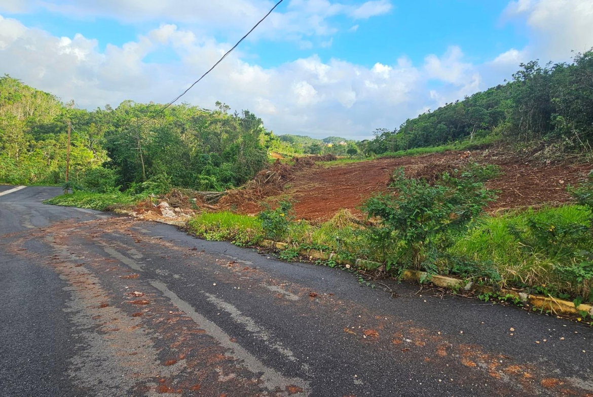 Sixth image of Lot 10 Holidazia Mandeville in Mandeville, Manchester, Jamaica - property is For Sale