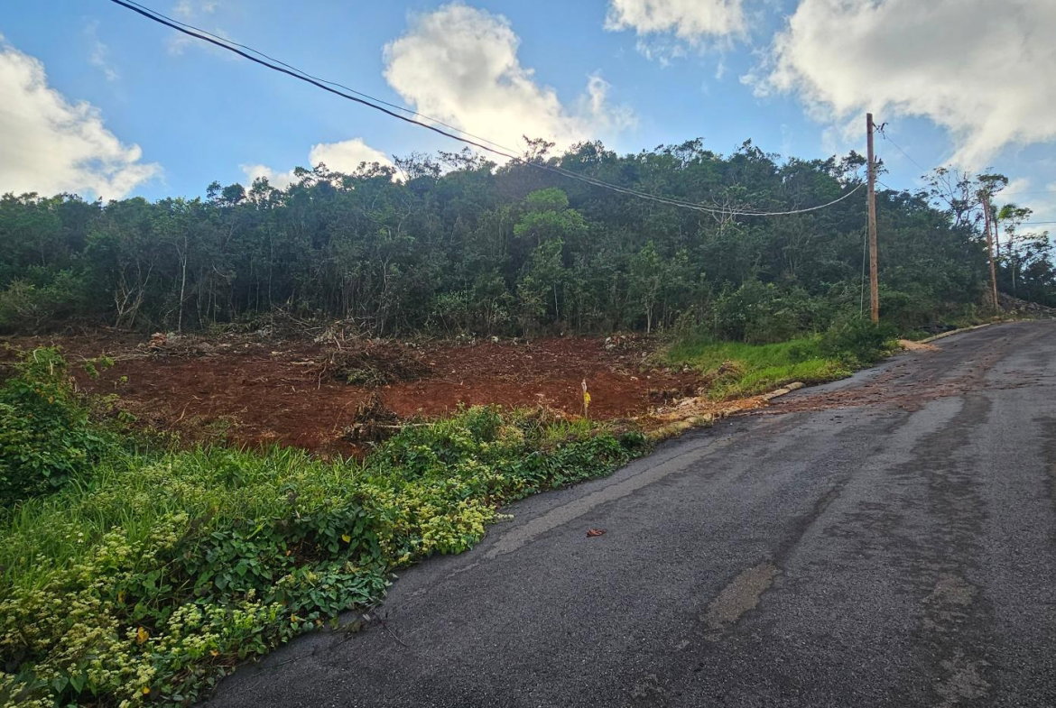 Seventh image of Lot 10 Holidazia Mandeville in Mandeville, Manchester, Jamaica - property is For Sale