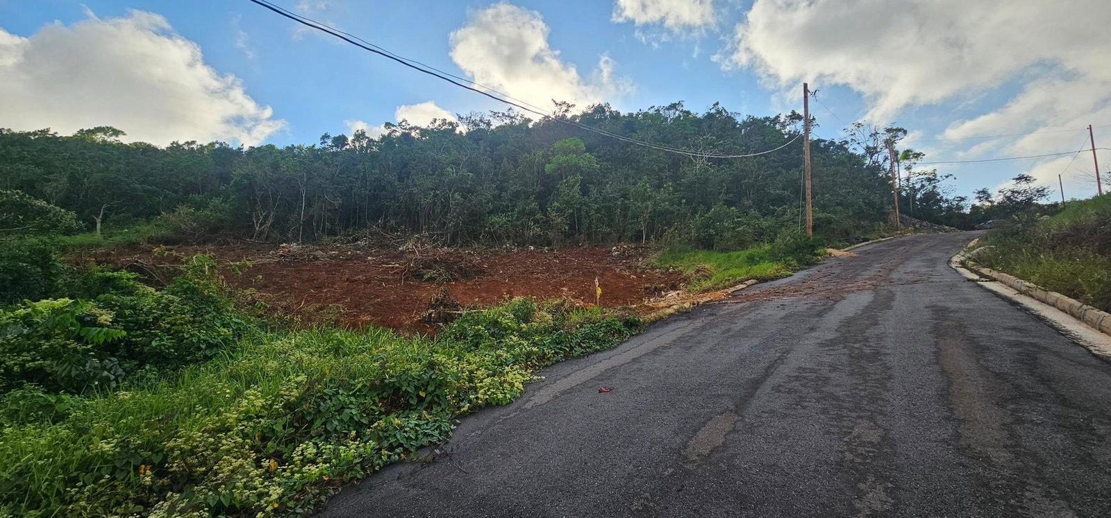 Lot-10-Holidazia-Mandeville-Manchester-Jamaica-13-Acre-Residential-Lot-For-Sale Seventh image of Lot 10 Holidazia Mandeville in Mandeville, Manchester, Jamaica - property is For Sale