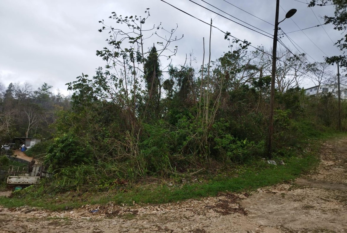 Second image of Lot 4 Curtis Drive, Rock Hall. in Red Hills, St. Andrew, Jamaica - property is For Sale