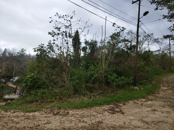 Second image of Lot 4 Curtis Drive, Rock Hall. in Red Hills, St. Andrew, Jamaica - property is For Sale