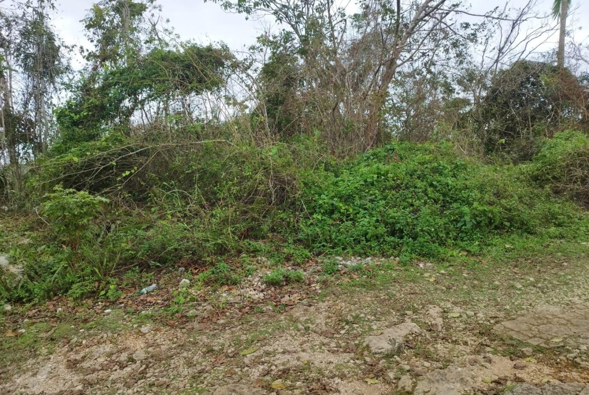 First image of Lot 4 Curtis Drive, Rock Hall. in Red Hills, St. Andrew, Jamaica - property is For Sale
