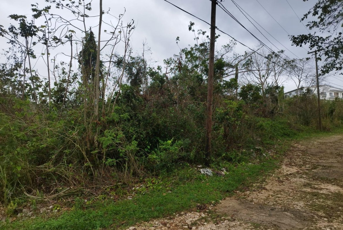 Third image of Lot 4 Curtis Drive, Rock Hall. in Red Hills, St. Andrew, Jamaica - property is For Sale