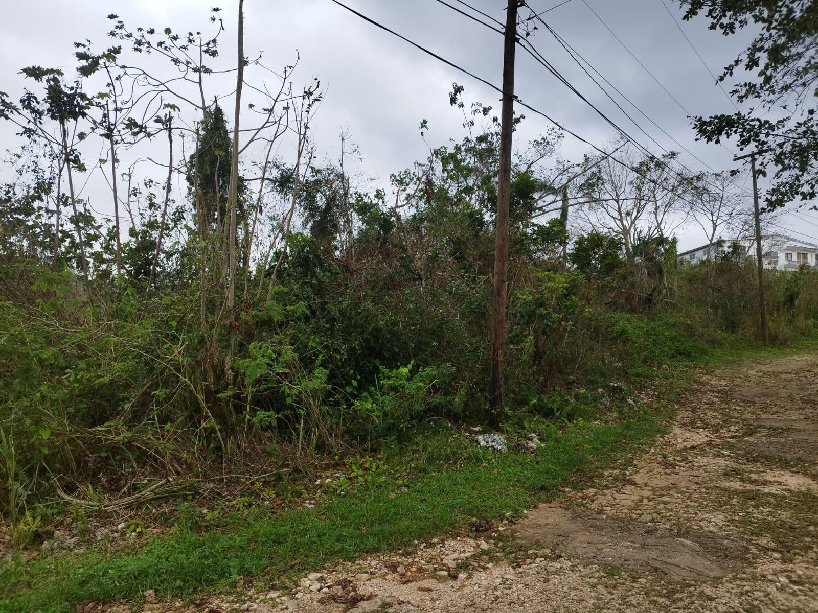 Third image of Lot 4 Curtis Drive, Rock Hall. in Red Hills, St. Andrew, Jamaica - property is For Sale