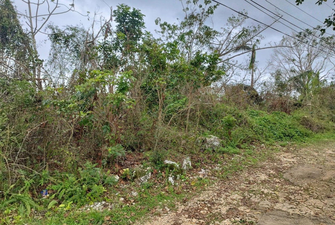 Fourth image of Lot 4 Curtis Drive, Rock Hall. in Red Hills, St. Andrew, Jamaica - property is For Sale
