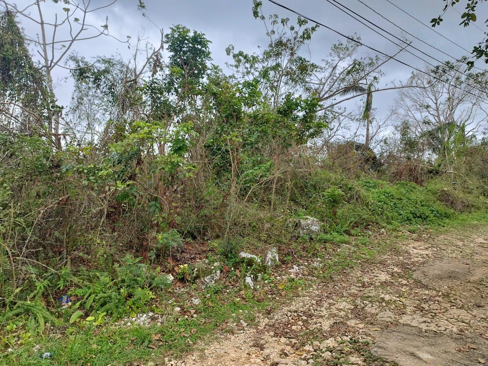Fourth image of Lot 4 Curtis Drive, Rock Hall. in Red Hills, St. Andrew, Jamaica - property is For Sale