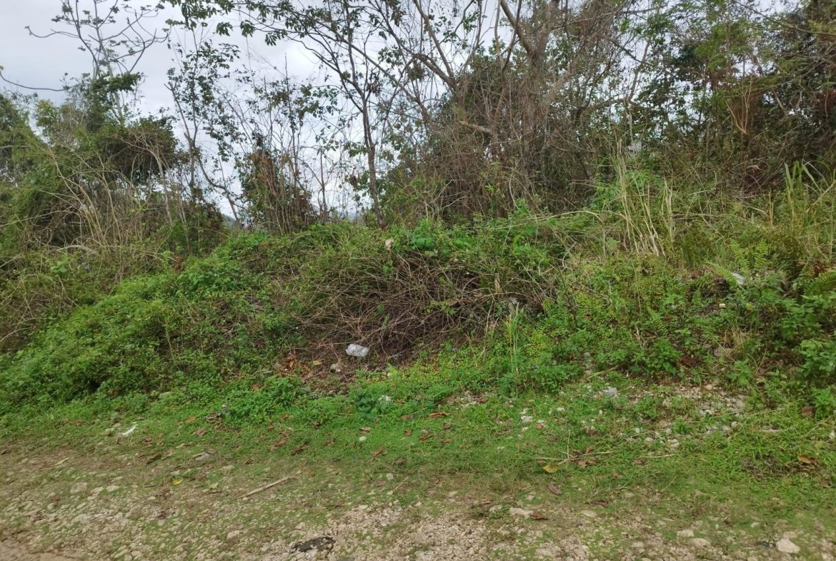 Fifth image of Lot 4 Curtis Drive, Rock Hall. in Red Hills, St. Andrew, Jamaica - property is For Sale