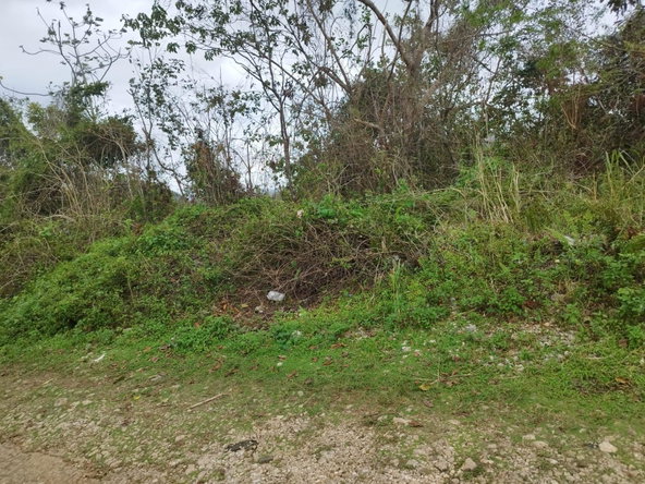 Fifth image of Lot 4 Curtis Drive, Rock Hall. in Red Hills, St. Andrew, Jamaica - property is For Sale