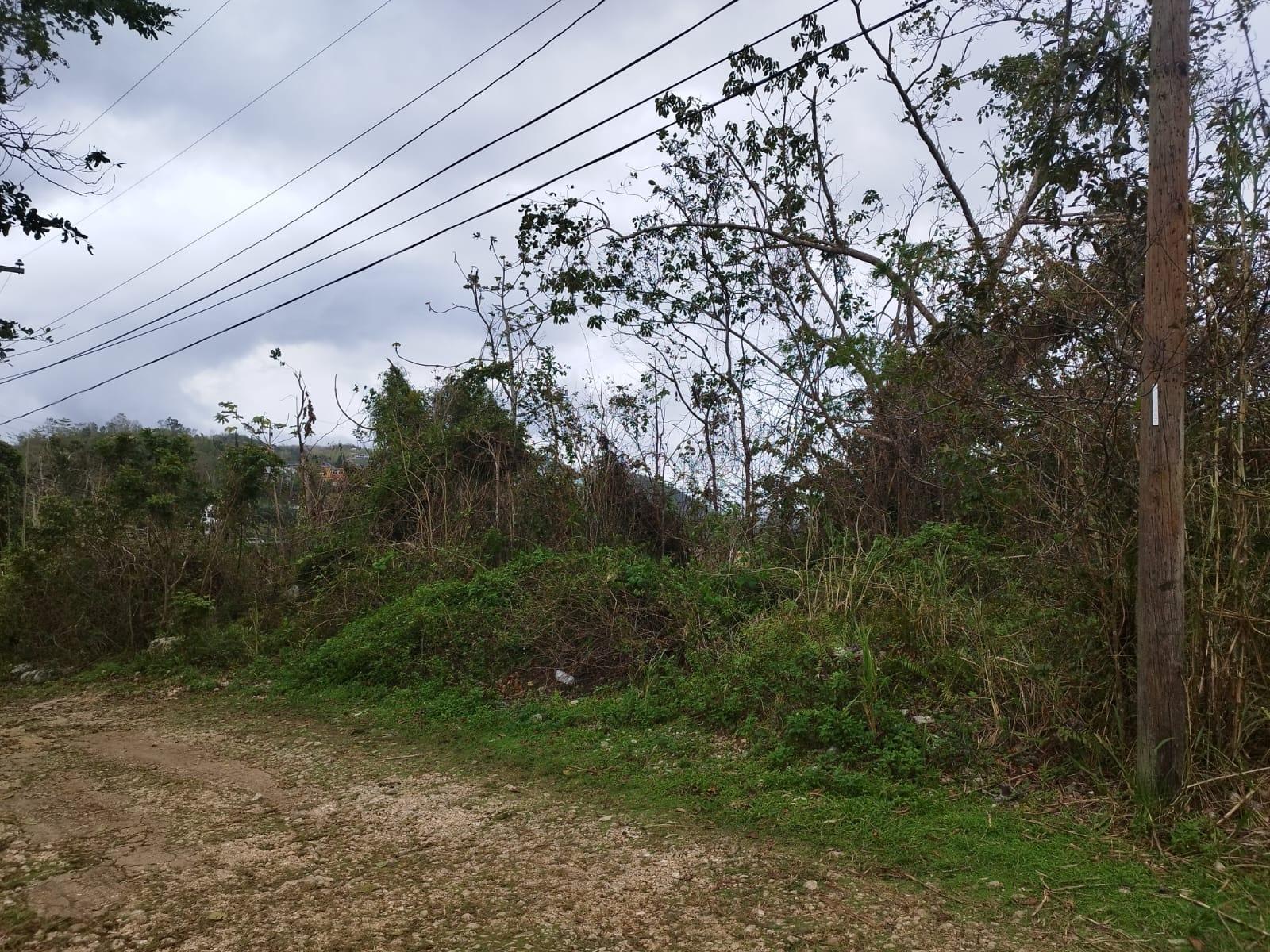 Sixth image of Lot 4 Curtis Drive, Rock Hall. in Red Hills, St. Andrew, Jamaica - property is For Sale