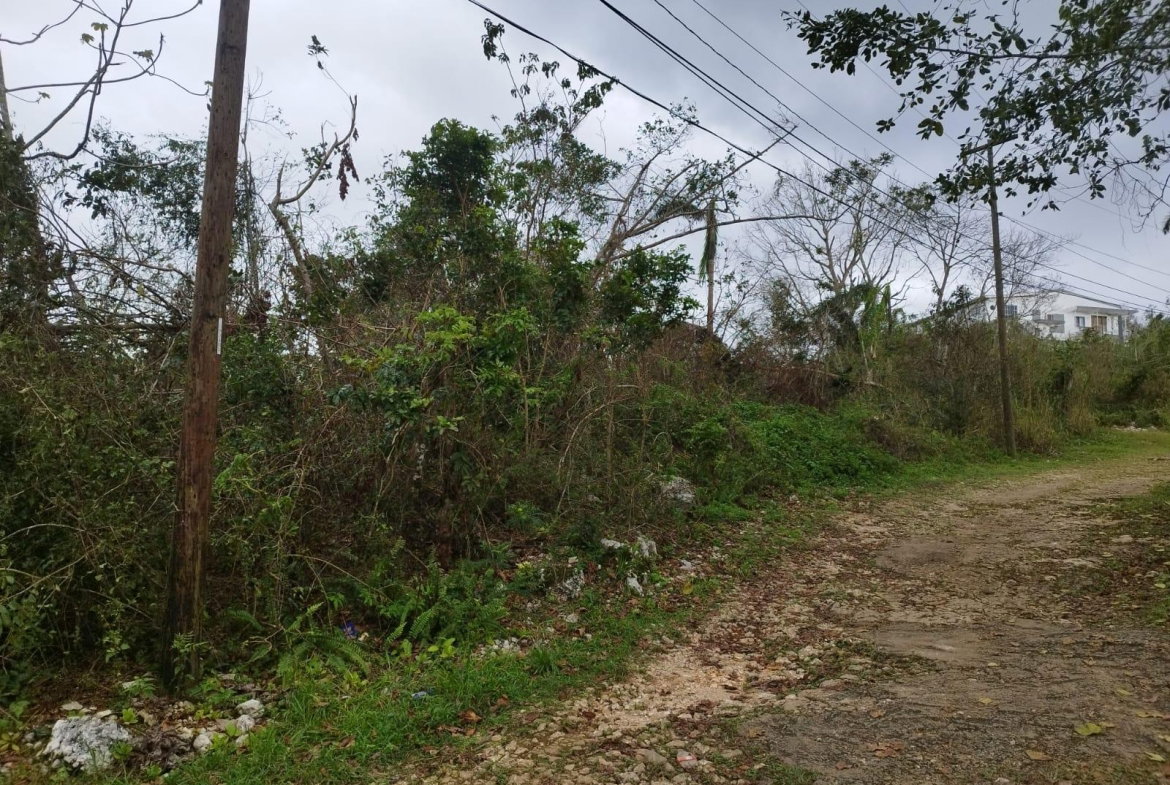 Seventh image of Lot 4 Curtis Drive, Rock Hall. in Red Hills, St. Andrew, Jamaica - property is For Sale