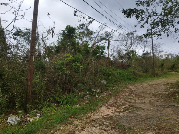 Seventh image of Lot 4 Curtis Drive, Rock Hall. in Red Hills, St. Andrew, Jamaica - property is For Sale