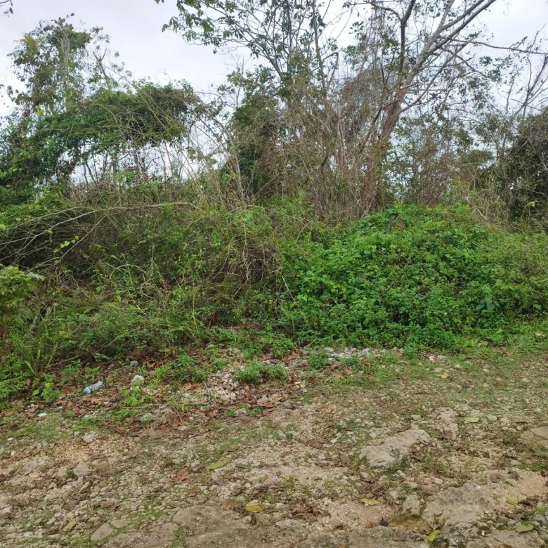 First image of Lot 4 Curtis Drive, Rock Hall. in Red Hills, St. Andrew, Jamaica - property is For Sale