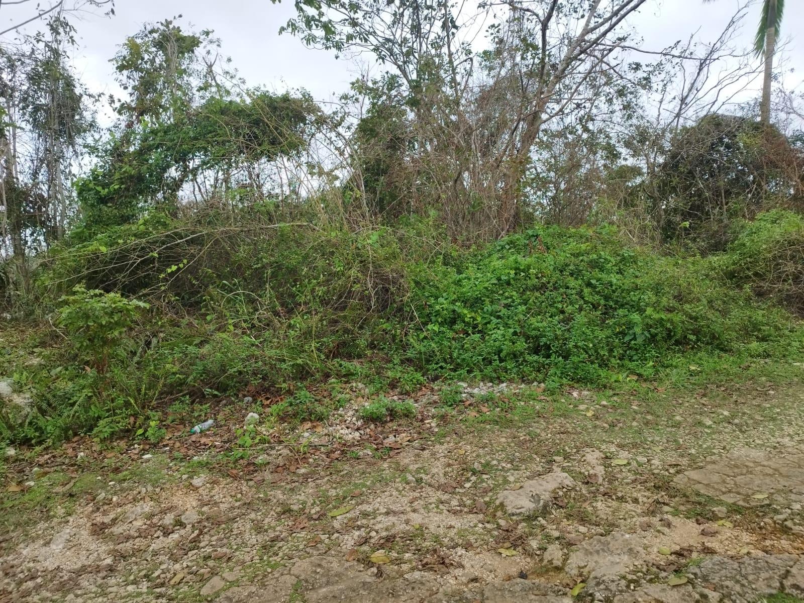 First image of Lot 4 Curtis Drive, Rock Hall. in Red Hills, St. Andrew, Jamaica - property is For Sale