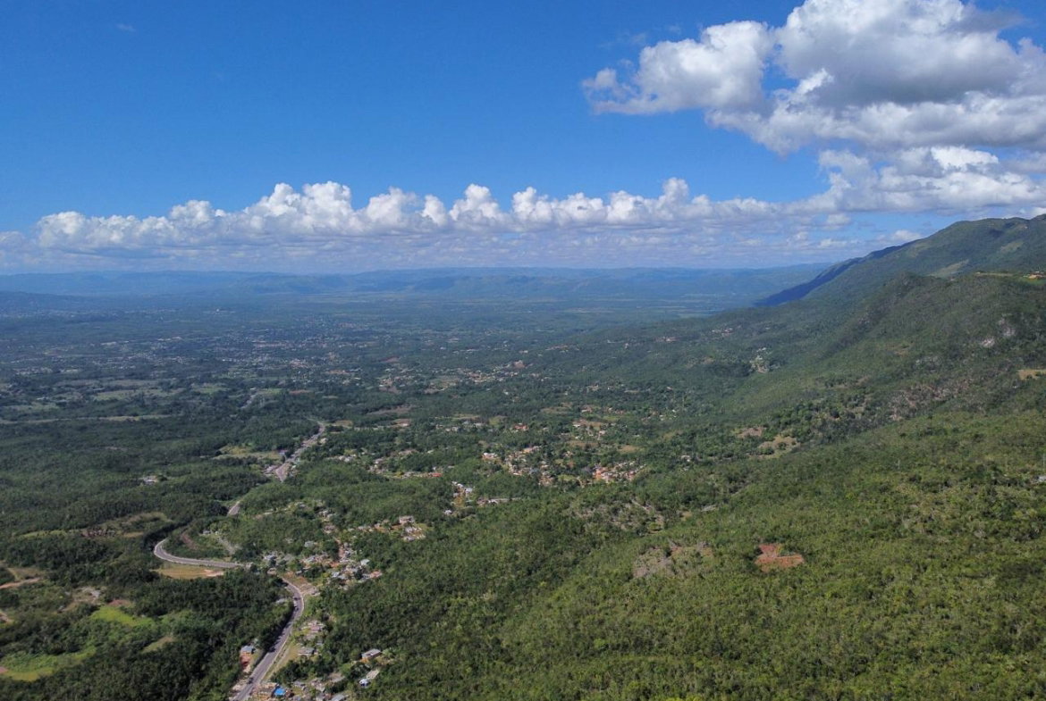 Sixth image of Lot 8 Eglington, Spur Tree in Spur Tree, Manchester, Jamaica - property is For Sale