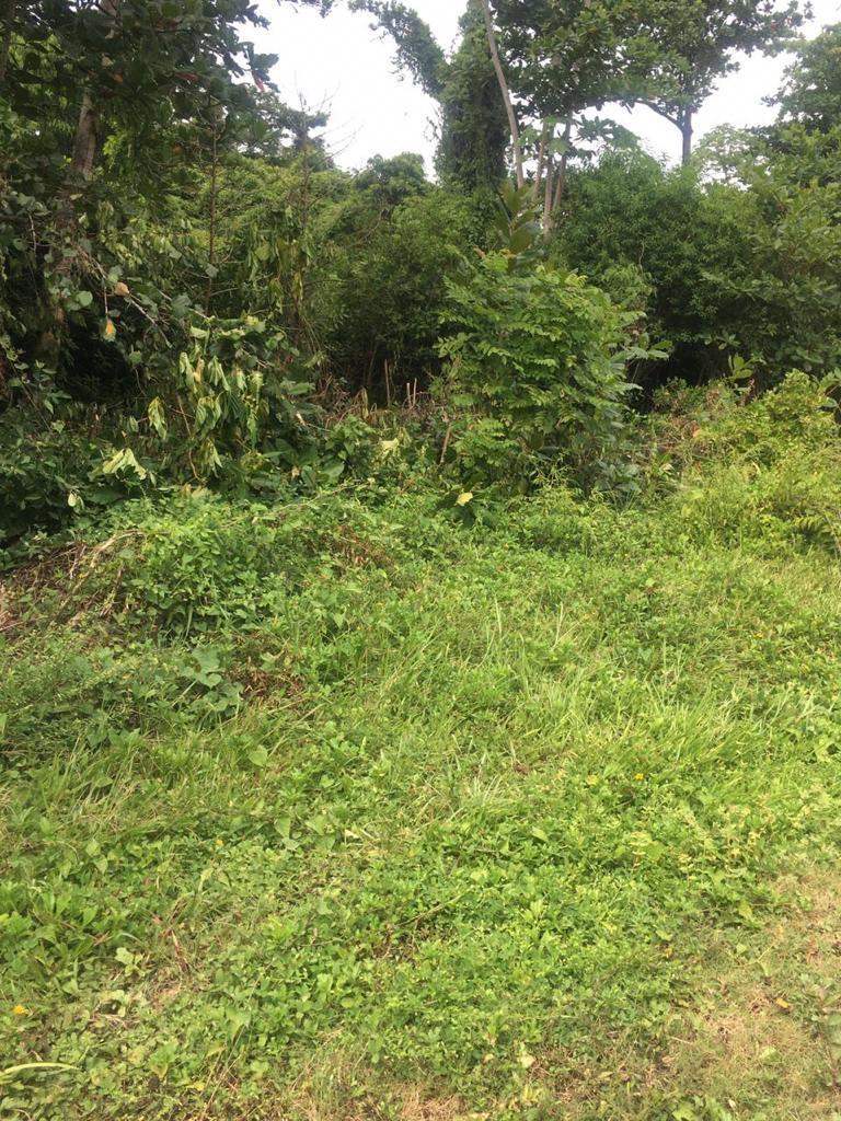 Lot-87-Little-Spring-Garden-Portland-Jamaica-17000-sq-ft-Residential-Lot-with-Ocean-Views Second image of Lot 87 Little Spring Garden in St. Margaret's Bay, Portland, Jamaica - property is For Sale
