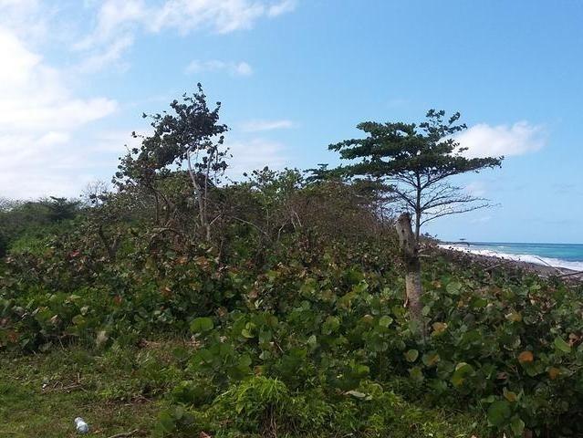 Seventh image of Lot 87 Little Spring Garden in St. Margaret's Bay, Portland, Jamaica - property is For Sale