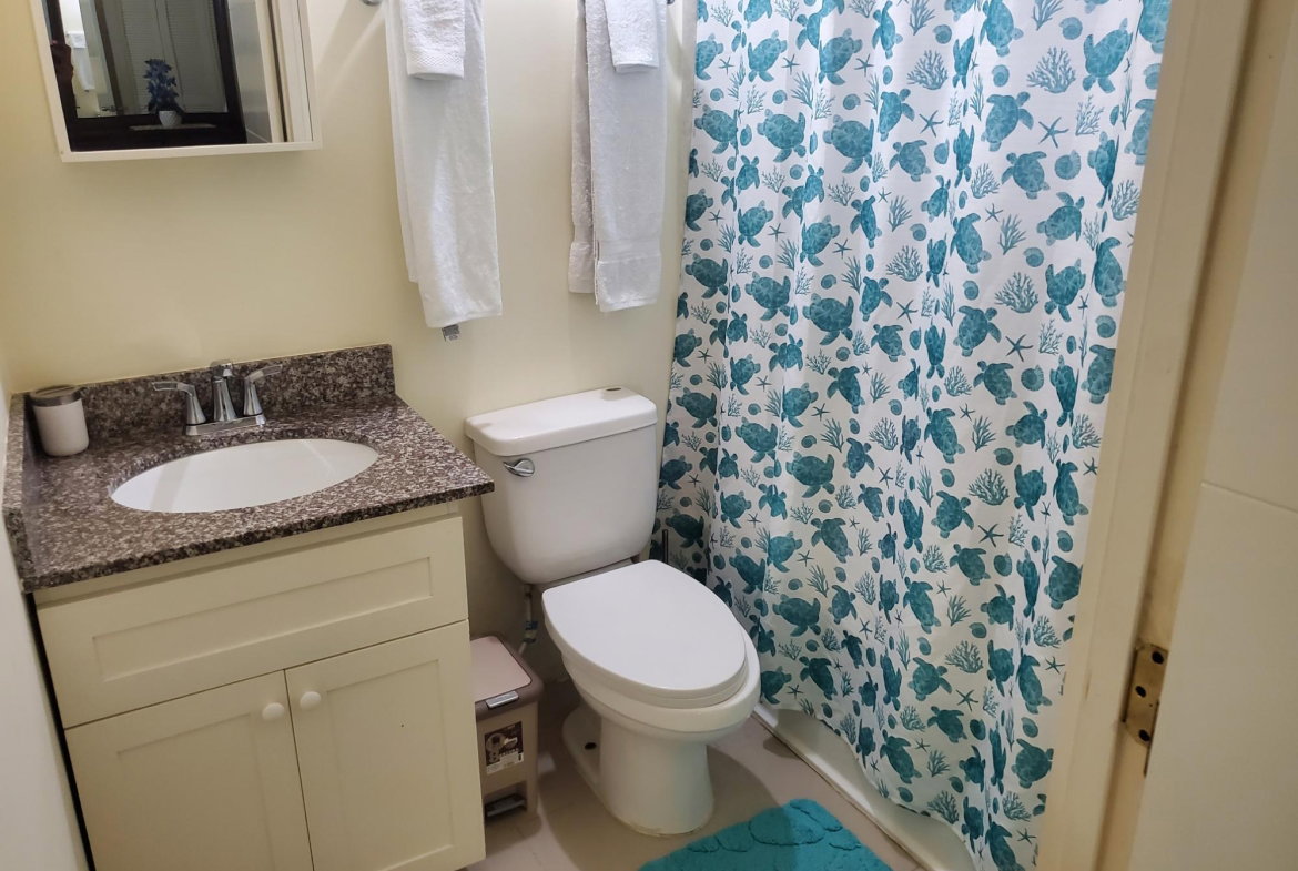Fifteenth image of Drax Hall Manor in Ocho Rios, St. Ann, Jamaica - property is For Rent