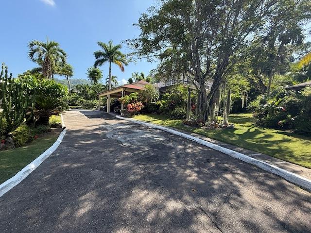 Twenty-Eighth image of 2-1a Upper Melwood Avenue, Kin in Kingston 8, St. Andrew, Jamaica - property is For Sale