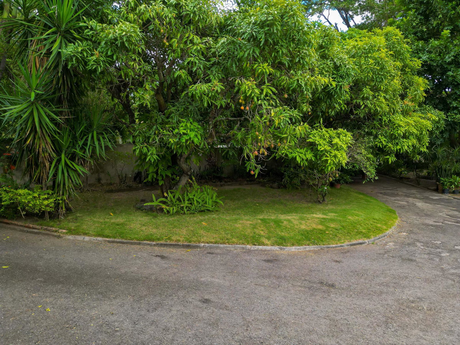 Fourth image of Widcombe Way in Kingston 6, St. Andrew, Jamaica - property is For Sale