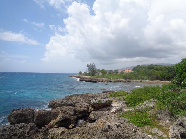 Ninth image of 195 South Sea Park in White House WD, Westmoreland, Jamaica - property is For Sale