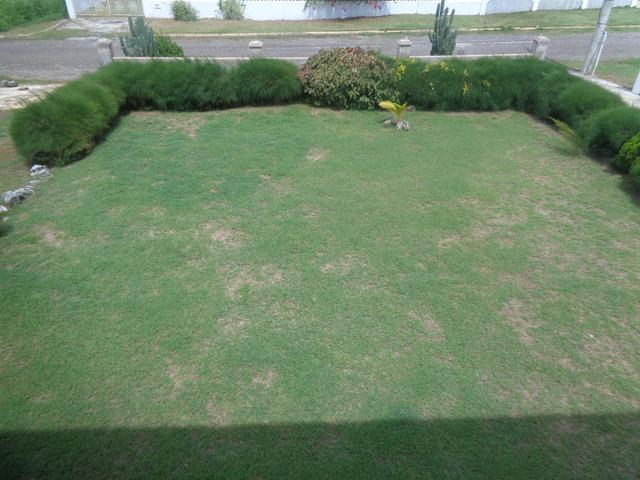 Tenth image of 195 South Sea Park in White House WD, Westmoreland, Jamaica - property is For Sale