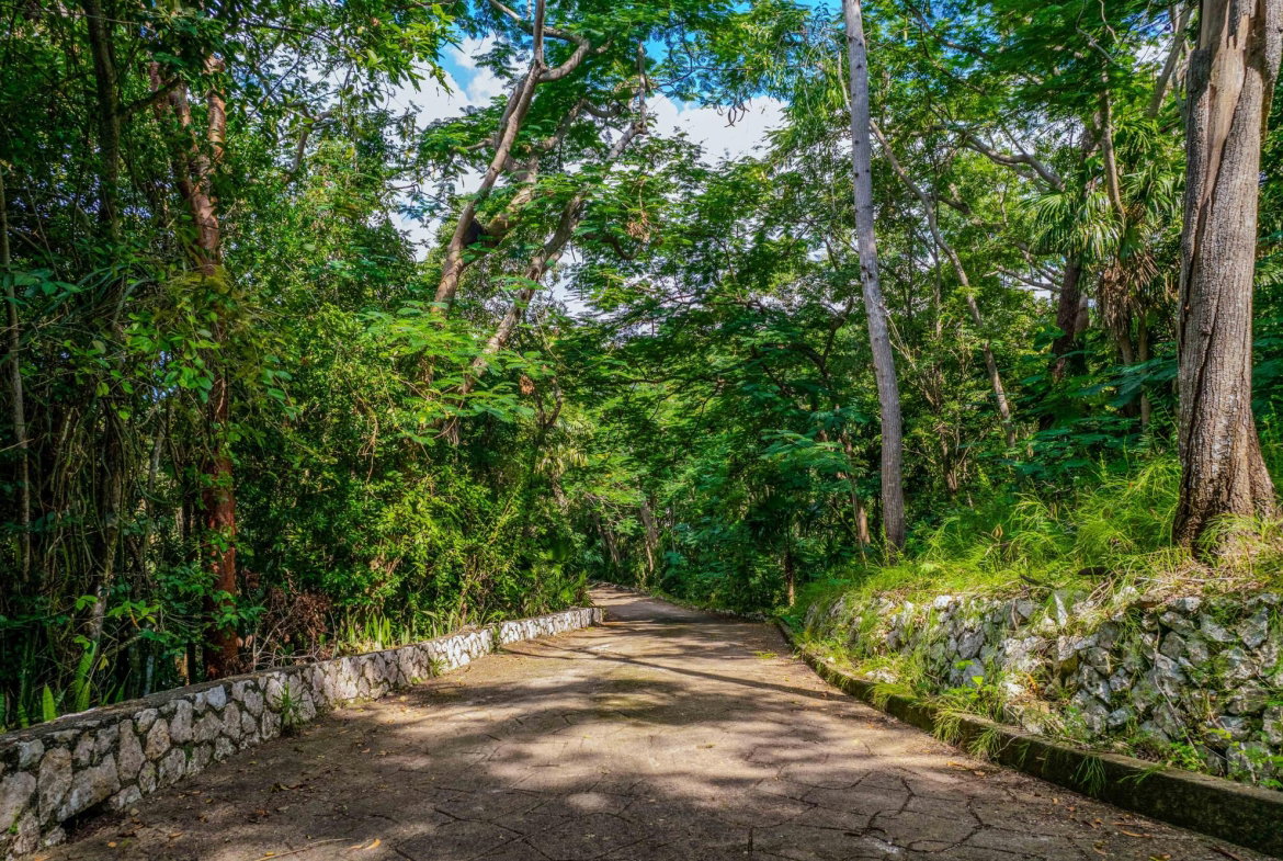 Seventh image of 25 Stillwell Road in Kingston 8, St. Andrew, Jamaica - property is For Sale