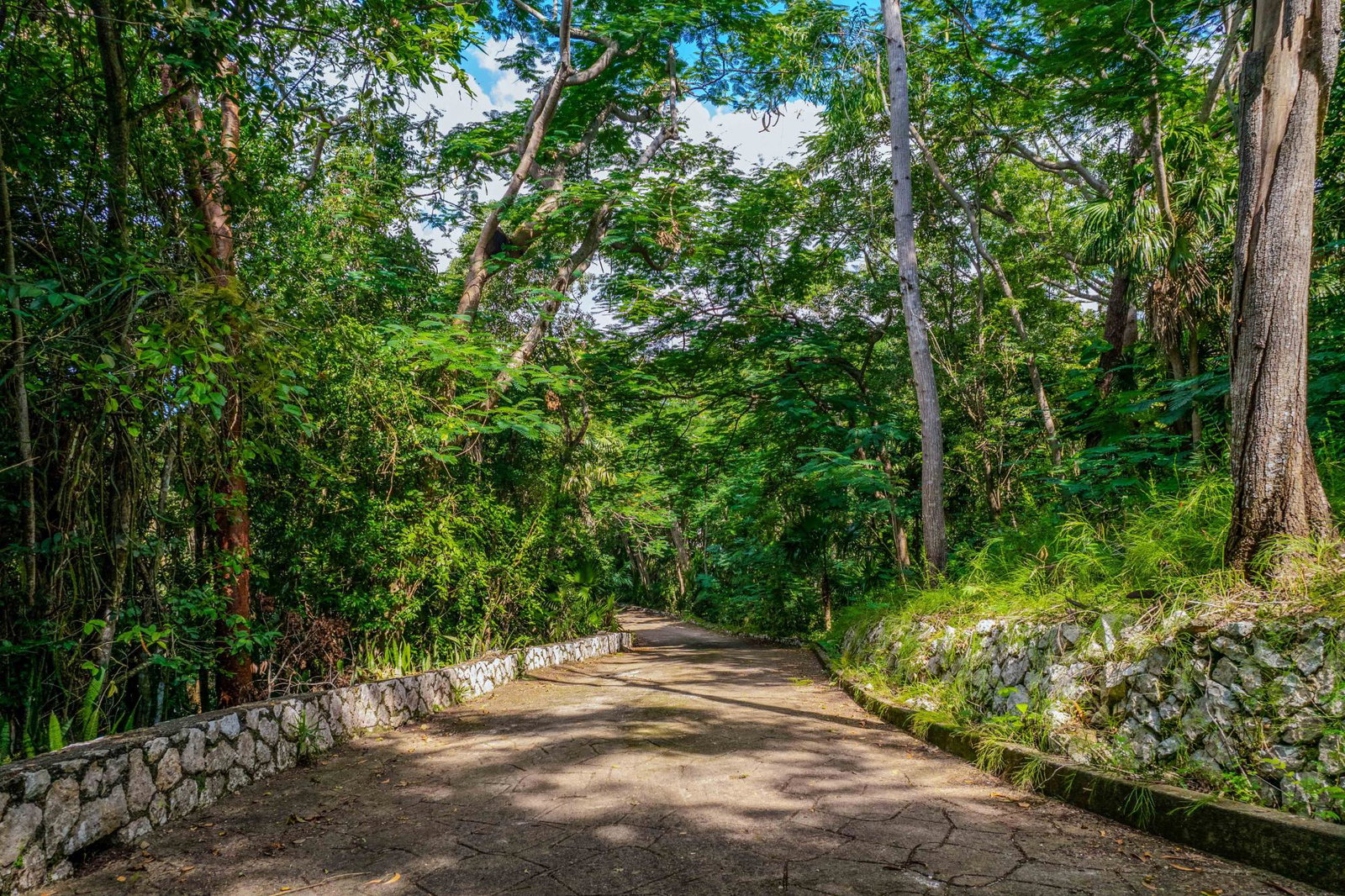 Seventh image of 25 Stillwell Road in Kingston 8, St. Andrew, Jamaica - property is For Sale