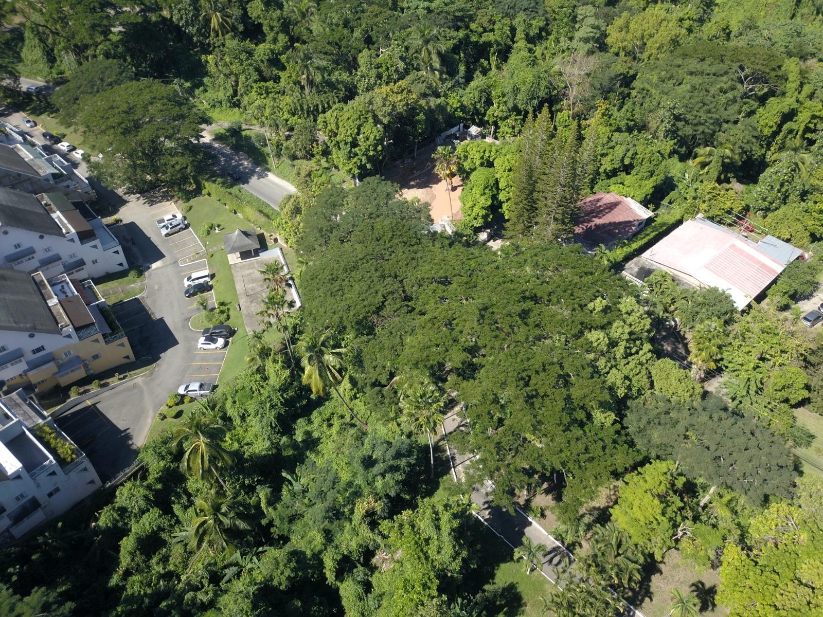 Luxury-Estate-for-Sale-in-Constant-Spring-Estates-Stony-Hill-Kingston-8-Jamaica Nineteenth image of 2 Long Lane in Kingston 8, St. Andrew, Jamaica - property is For Sale