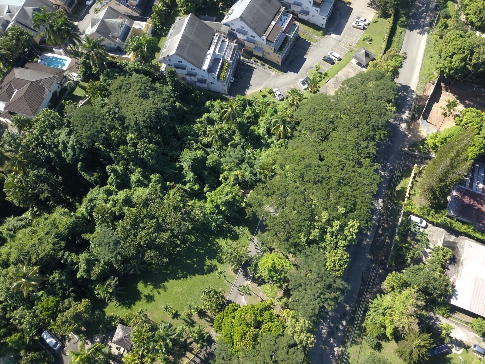 Luxury-Estate-for-Sale-in-Constant-Spring-Estates-Stony-Hill-Kingston-8-Jamaica Twenty-Third image of 2 Long Lane in Kingston 8, St. Andrew, Jamaica - property is For Sale