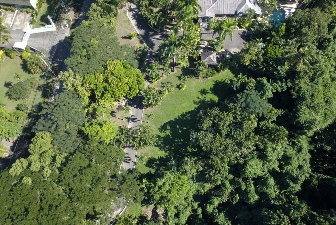 Seventh image of 2 Long Lane in Kingston 8, St. Andrew, Jamaica - property is For Sale