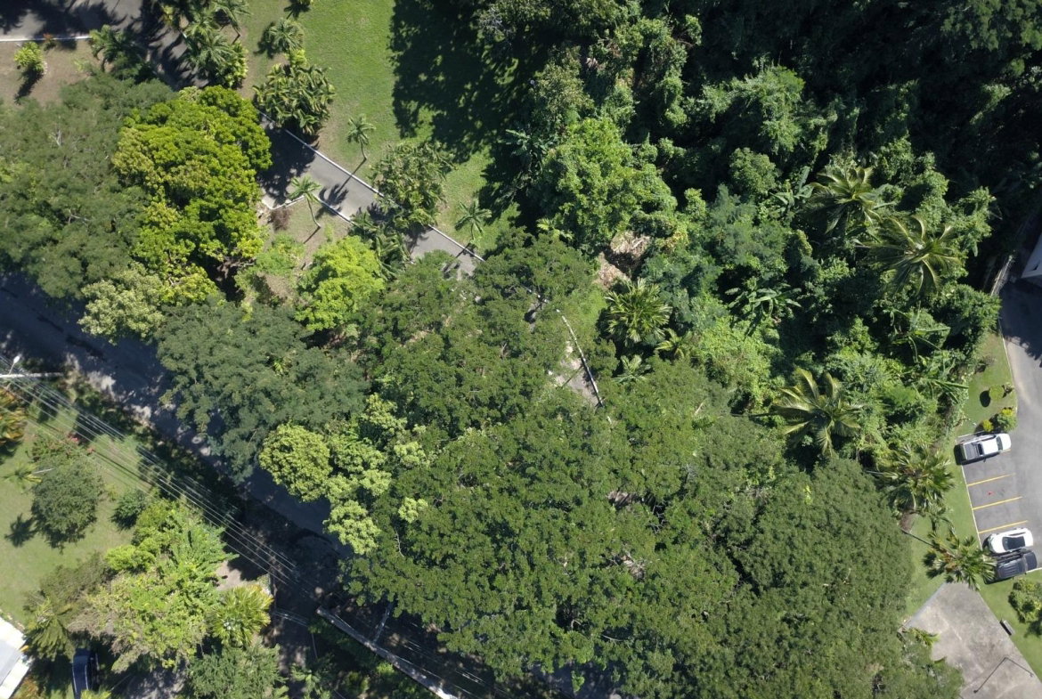 Eighth image of 2 Long Lane in Kingston 8, St. Andrew, Jamaica - property is For Sale