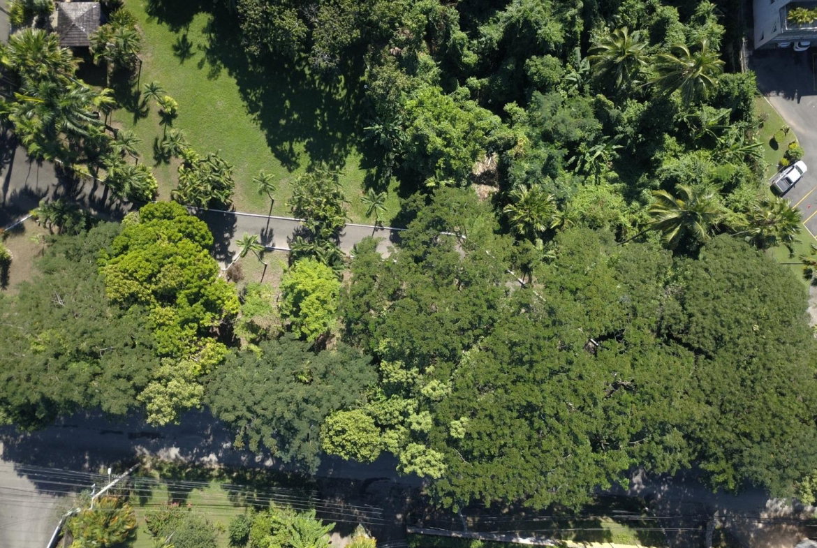 Ninth image of 2 Long Lane in Kingston 8, St. Andrew, Jamaica - property is For Sale