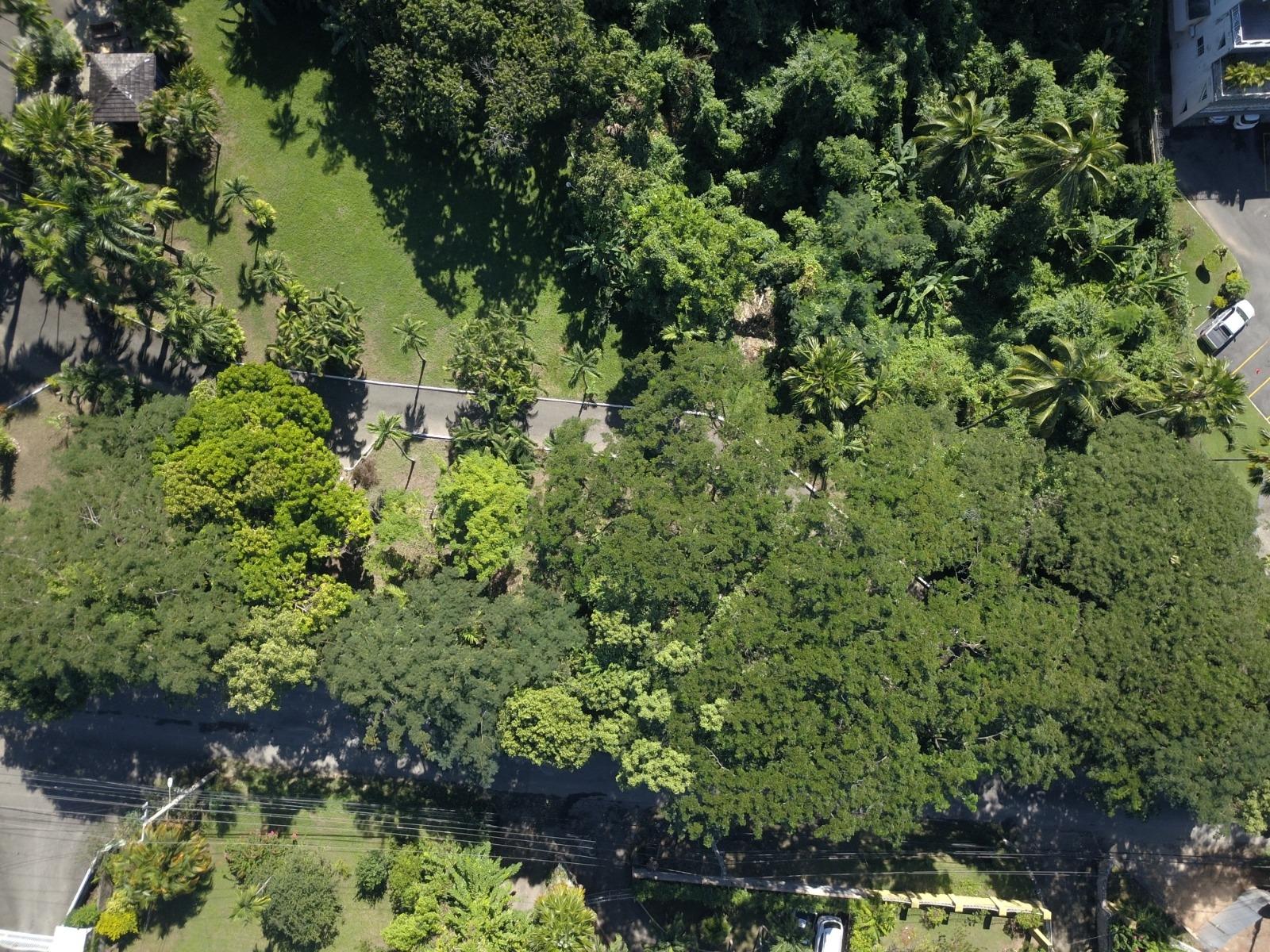 Luxury-Estate-for-Sale-in-Constant-Spring-Estates-Stony-Hill-Kingston-8-Jamaica Ninth image of 2 Long Lane in Kingston 8, St. Andrew, Jamaica - property is For Sale