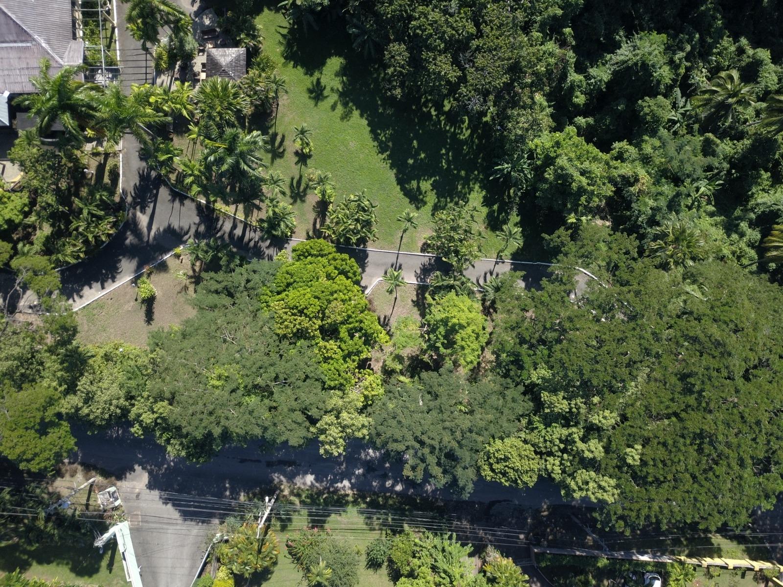 Luxury-Estate-for-Sale-in-Constant-Spring-Estates-Stony-Hill-Kingston-8-Jamaica Tenth image of 2 Long Lane in Kingston 8, St. Andrew, Jamaica - property is For Sale