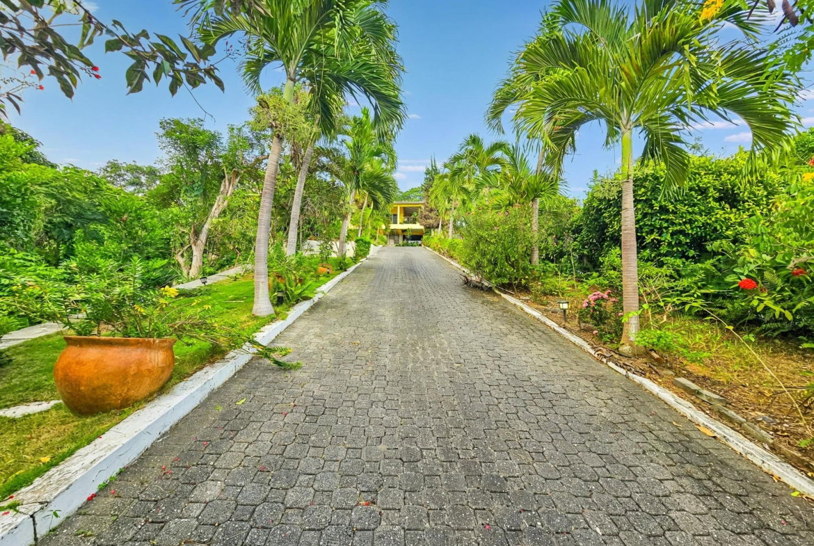 First image of 11 Mulberry Avenue in Kingston 6, St. Andrew, Jamaica - property is For Sale
