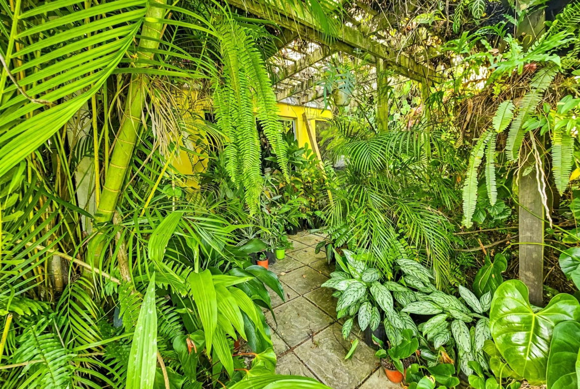 Twenty-Second image of 11 Mulberry Avenue in Kingston 6, St. Andrew, Jamaica - property is For Sale