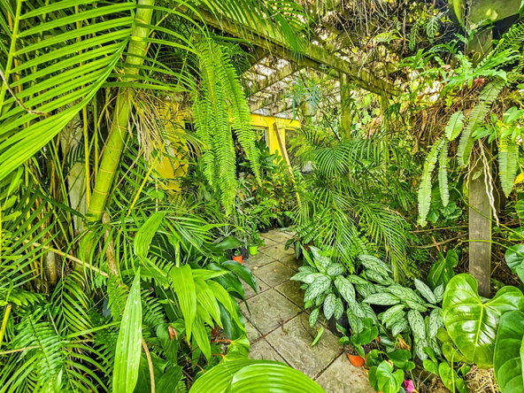 Twenty-Second image of 11 Mulberry Avenue in Kingston 6, St. Andrew, Jamaica - property is For Sale