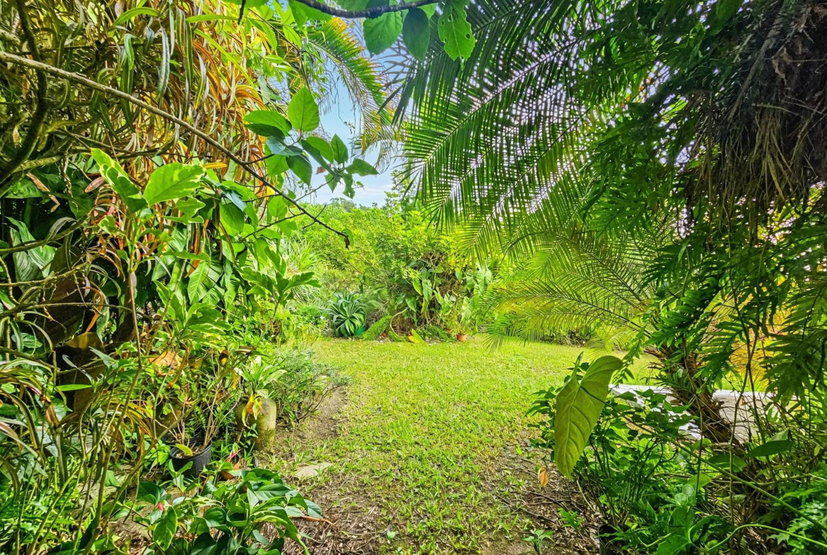 Twenty-Third image of 11 Mulberry Avenue in Kingston 6, St. Andrew, Jamaica - property is For Sale