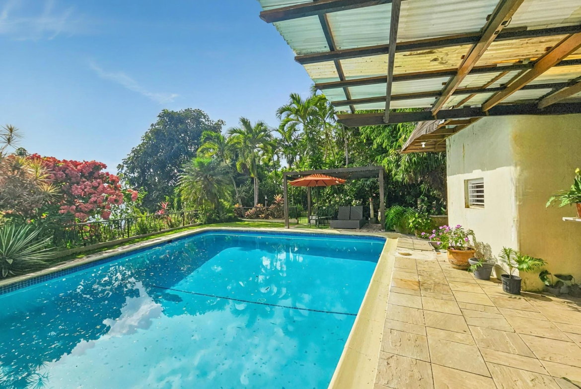 Twenty-Fifth image of 11 Mulberry Avenue in Kingston 6, St. Andrew, Jamaica - property is For Sale