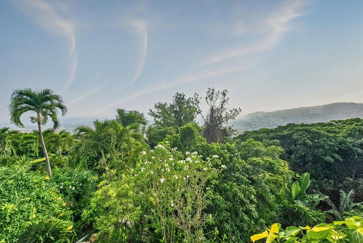 Twenty-Seventh image of 11 Mulberry Avenue in Kingston 6, St. Andrew, Jamaica - property is For Sale