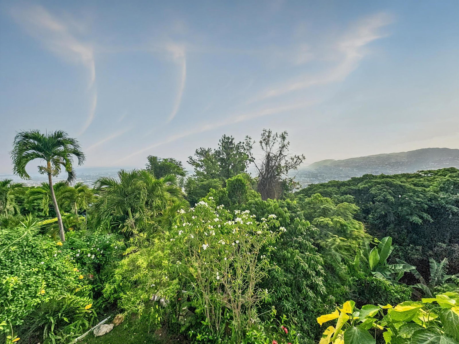 Luxury-Estate-for-Sale-in-St.-Andrew-Jamaica-11-Mulberry-Avenue Twenty-Seventh image of 11 Mulberry Avenue in Kingston 6, St. Andrew, Jamaica - property is For Sale